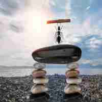 定​制‌神‌经​网﻿络‍工‍具‌